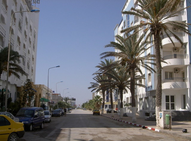 Quels sont les avantages fiscaux de l'immobilier DOM-TOM Rue ensoleillée avec des palmiers la bordant