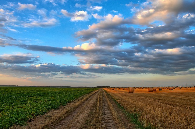 taxe pour frais de chambre d'agriculture
