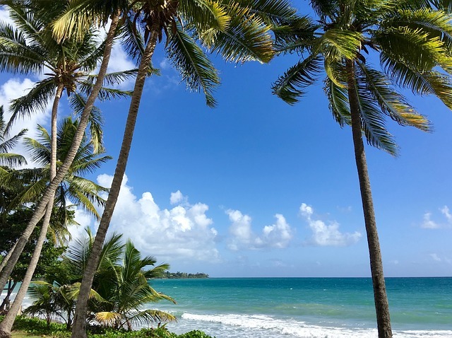 martinique défiscalisation