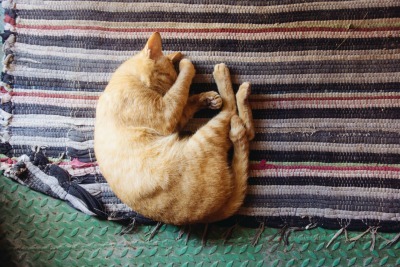 chat