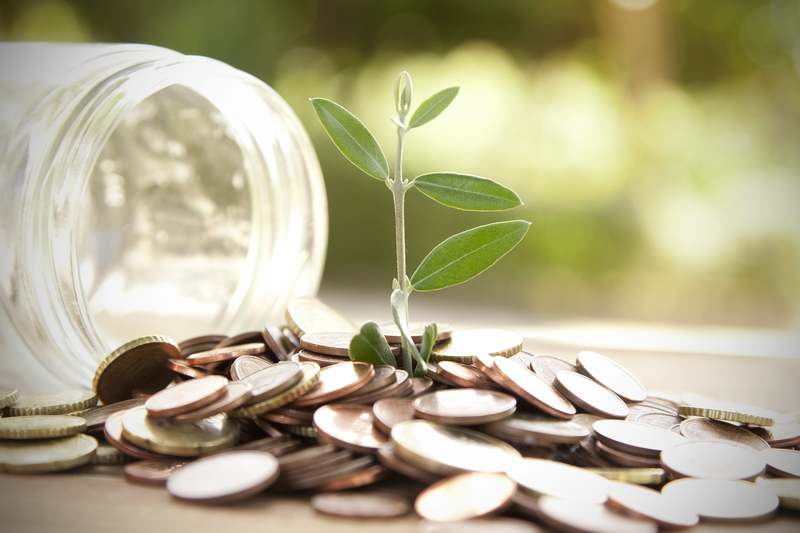 l'assurance vie ING l'assurance vie ING