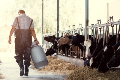 contrat madelin agricole contrat madelin agricole