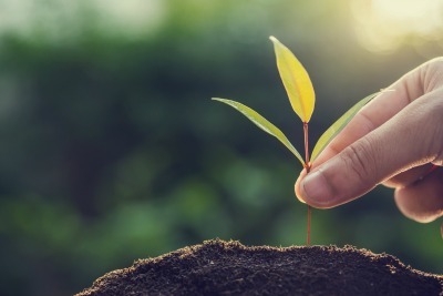 Livret de Développement Durable à la Société Générale Livret de Développement Durable Société Générale