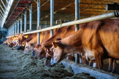 retraite msa secteur agricole retraite msa secteur agricole