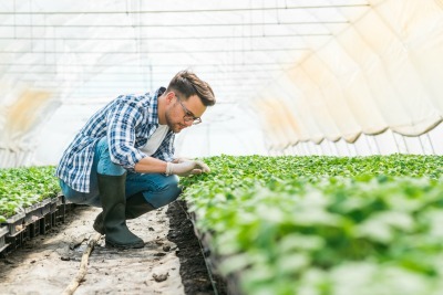 retraite salariés agricoles retraite salariés agricoles