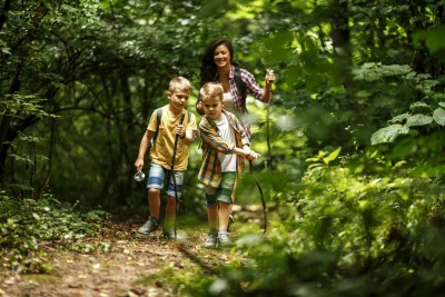 investissement forestier groupement investissement forestier groupement