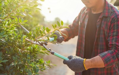 crédito de imposto sobre o trabalho em casa'impot